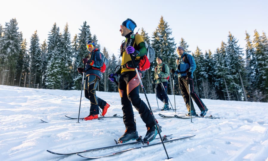 Група людей на лижах у засніженому лісі.