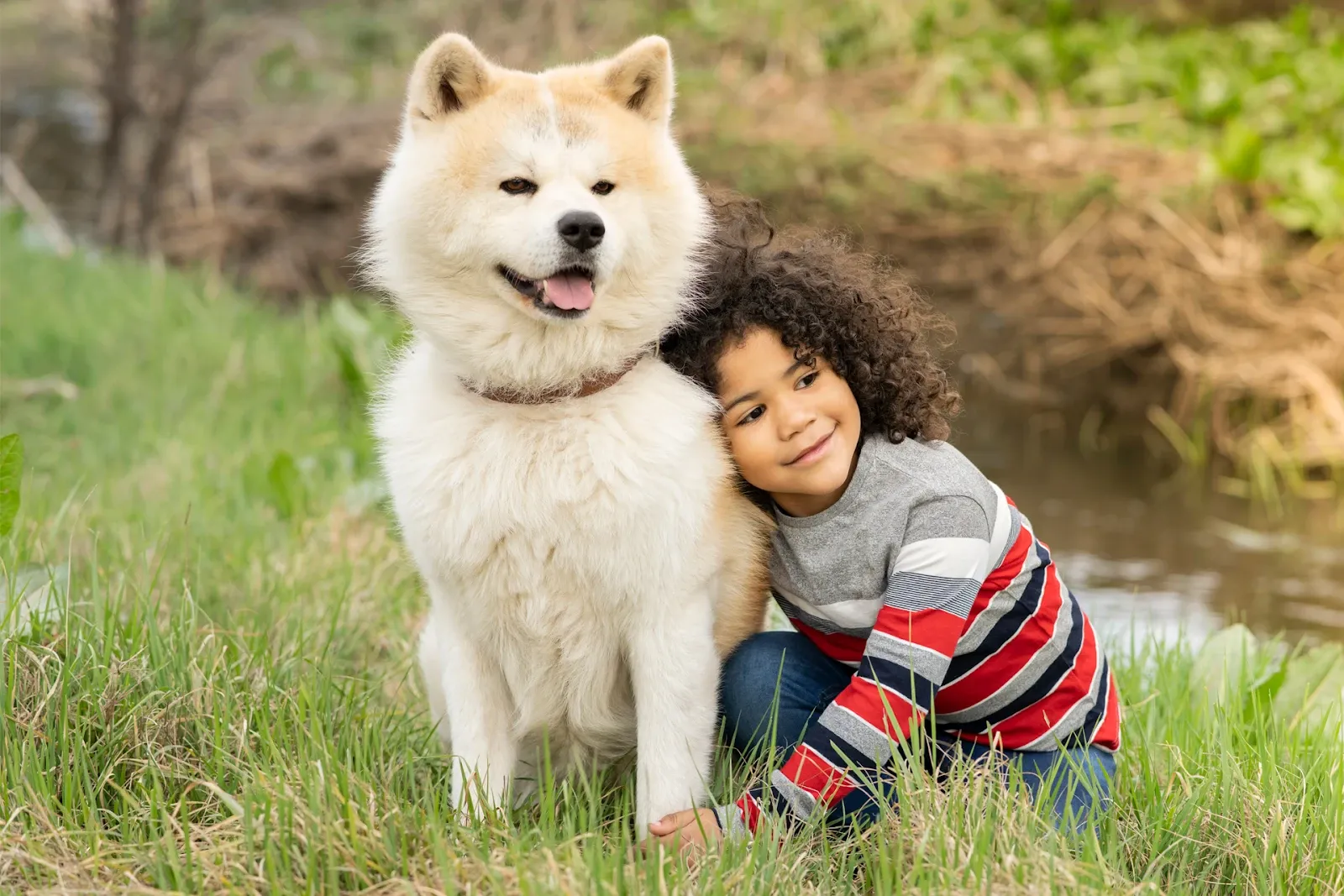 Дитина на природі обіймає великого пухнастого собаку біля струмка