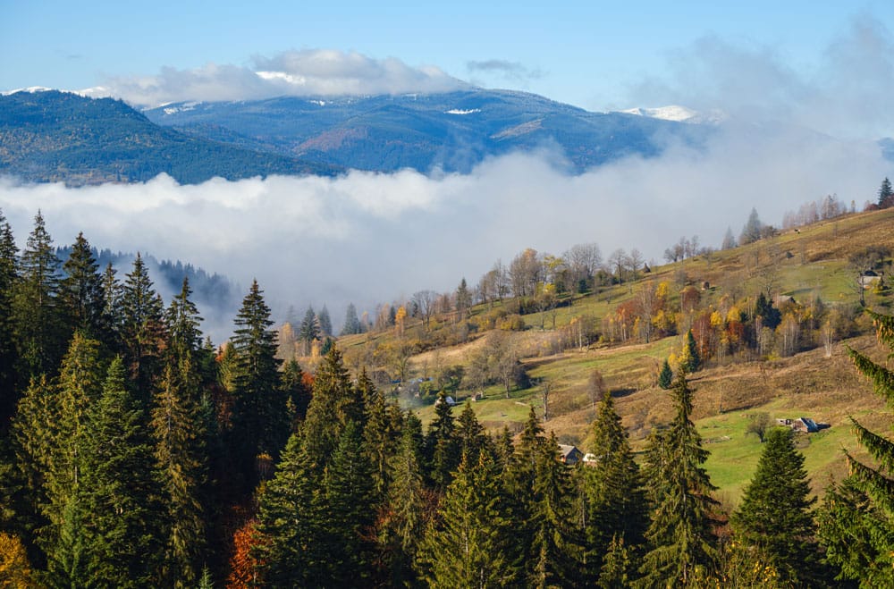 Карпати в тумані