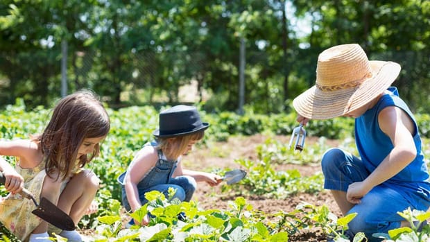Як пояснити дитині правила роботи з садовим інструментом
