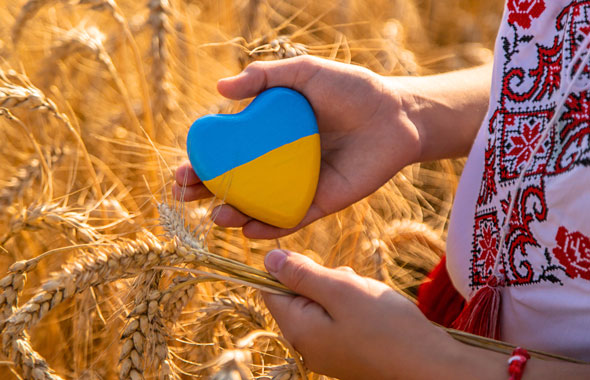 Джерела для вивчення історії України: Цифрові ресурси для ...