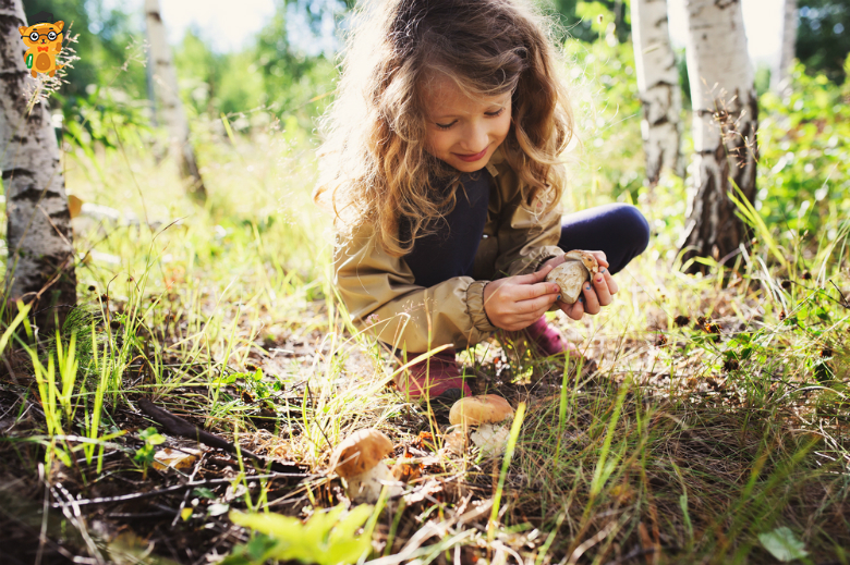 20 справ, які варто зробити з дітьми восени на learning.ua