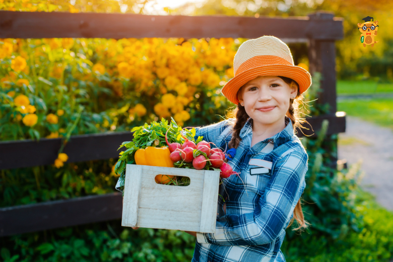 Які овочі та фрукти варто включити в раціон дитини восени на learning.ua