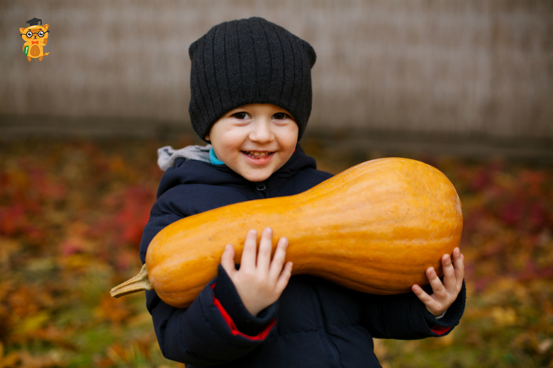 Які овочі та фрукти варто включити в раціон дитини восени на learning.ua