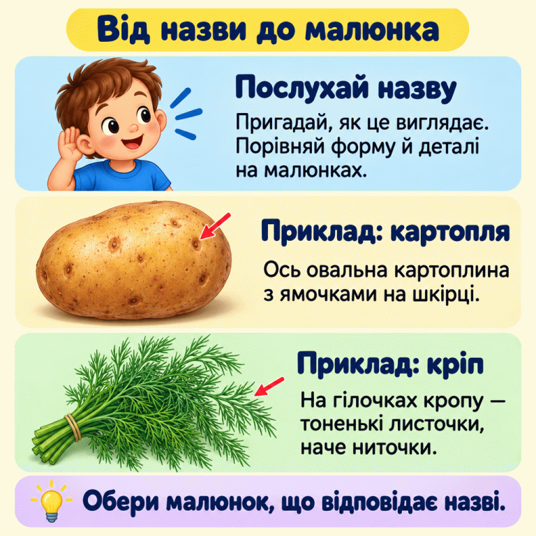 Картка вчить слухати назву й упізнавати продукт за формою та деталями. Наведено два приклади: овальна картоплина з ямочками на шкірці та кріп із тоненькими листочками, схожими на ниточки. Унизу нагадування: обери малюнок, що відповідає назві. Від назви до малюнка Послухай назву: Пригадай, як це виглядає. Порівняй форму й деталі на малюнках. Приклад: картопля: Ось овальна картоплина з ямочками на шкірці. Приклад: кріп: На гілочках кропу — тоненькі листочки, наче ниточки. Обери малюнок, що відповідає назві.