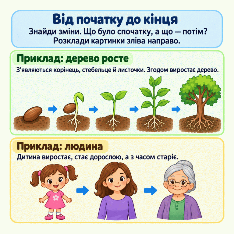 Картка вчить знаходити зміни й розкладати картинки від початку до кінця. У першому прикладі зліва направо показано проростання насінини, появу корінця й пагона, перших листочків, молодої рослини та дерева з гілками. У другому прикладі дитина стає дорослою, а згодом — літньою людиною. Від початку до кінця: Знайди зміни. Що було спочатку, а що — потім? Розклади картинки зліва направо. Приклад: дерево росте: З’являються корінець, стебельце й листочки. Згодом виростає дерево. Приклад: людина: Дитина виростає, стає дорослою, а з часом старіє.
