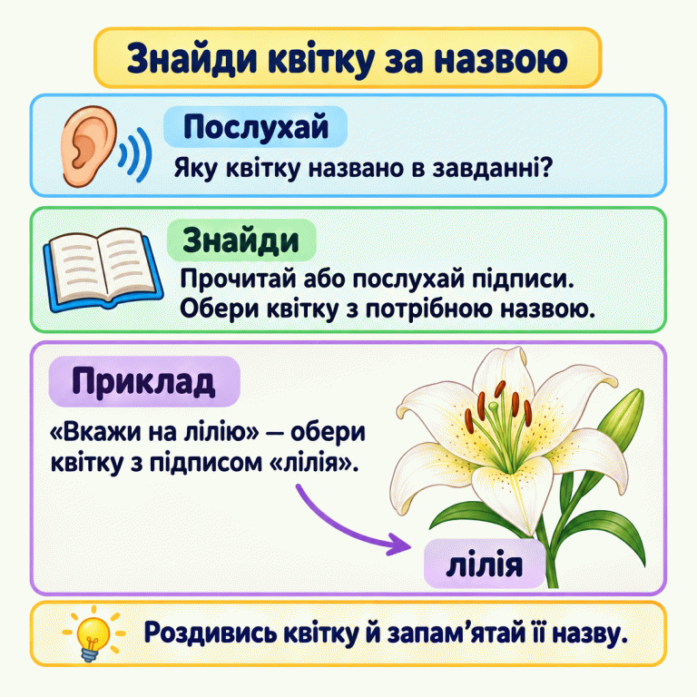 Картка пояснює: послухай, яку квітку названо, прочитай або послухай підписи та обери потрібний малюнок. У навчальному прикладі прохання «Вкажи на лілію» пов’язане із зображенням розкритої лілії та підписом «лілія». Наприкінці запропоновано роздивитися квітку й запам’ятати її назву. Знайди квітку за назвою Послухай: Яку квітку названо в завданні? Знайди: Прочитай або послухай підписи. Обери квітку з потрібною назвою. Приклад: «Вкажи на лілію» — обери квітку з підписом «лілія». Роздивись квітку й запам’ятай її назву. лілія