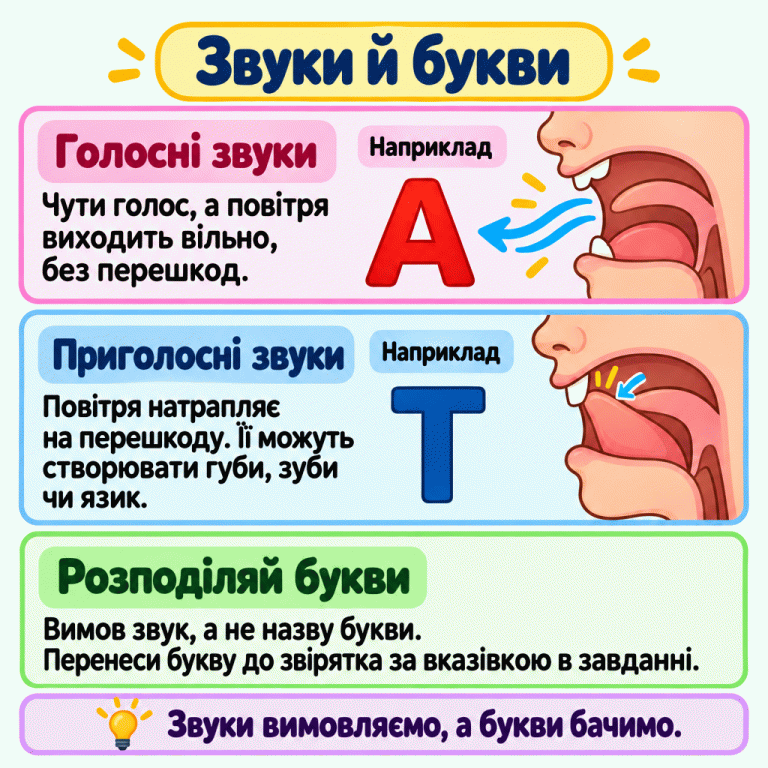 Картка «Звуки й букви». Голосні вимовляємо голосом, і повітря виходить вільно. Це показано на прикладі букви А та схеми відкритого рота. Під час вимови приголосних повітря натрапляє на перешкоду: біля букви Т показано, як язик торкається верхніх зубів. Щоб розподілити букви, вимов звук, а не назву букви, та перенеси букву до звірятка за вказівкою в завданні. Звуки вимовляємо, а букви бачимо. Звуки й букви Голосні звуки: Чути голос, а повітря виходить вільно, без перешкод. Приголосні звуки: Повітря натрапляє на перешкоду. Її можуть створювати губи, зуби чи язик. Розподіляй букви: Вимов звук, а не назву букви. Перенеси букву до звірятка за вказівкою в завданні. Звуки вимовляємо, а букви бачимо. А Т Наприклад