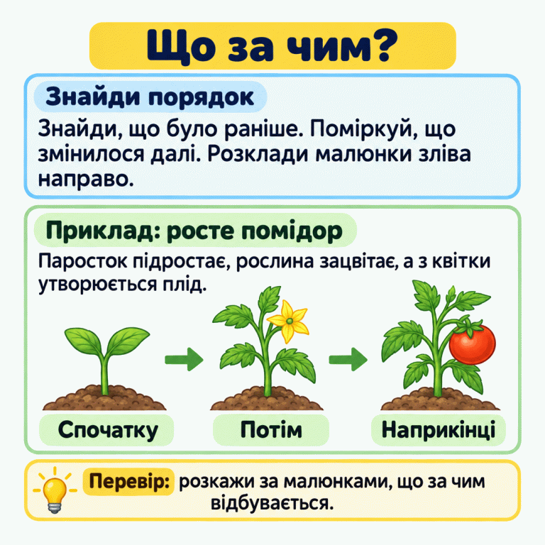 Пам’ятка пояснює, як відновити порядок малюнків: знайти ранній етап, помітити подальші зміни й розкласти зображення зліва направо. Навчальний приклад показує розвиток помідора: спочатку паросток, потім квітуча рослина, наприкінці рослина з плодом. Порядок можна перевірити, розповівши за малюнками, що за чим відбувається. Що за чим? Знайди порядок: Знайди, що було раніше. Поміркуй, що змінилося далі. Розклади малюнки зліва направо. Приклад: росте помідор: Паросток підростає, рослина зацвітає, а з квітки утворюється плід. Перевір: розкажи за малюнками, що за чим відбувається. Спочатку Потім Наприкінці
