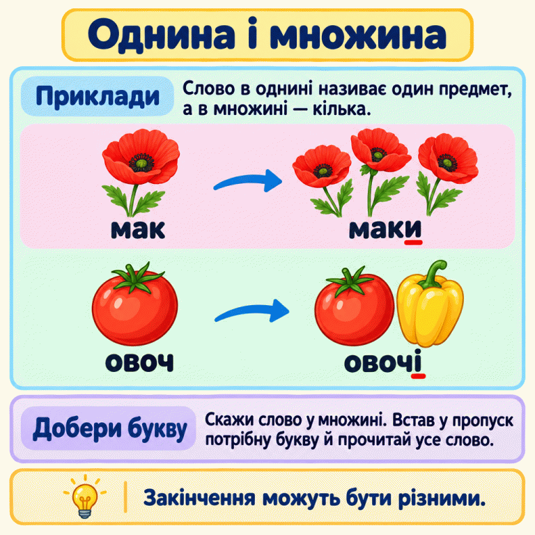 Одна квітка маку підписана «мак», кілька квіток — «маки». Один овоч підписаний «овоч», кілька овочів — «овочі». Стрілки ведуть від однини до множини. У словах «маки» та «овочі» підкреслено кінцеві букви и та і. Інструкція радить сказати слово у множині, вставити потрібну букву в пропуск і прочитати ціле слово. Однина і множина Приклади: Слово в однині називає один предмет, а в множині — кілька. Добери букву: Скажи слово у множині. Встав у пропуск потрібну букву й прочитай усе слово. Закінчення можуть бути різними. мак маки овоч овочі