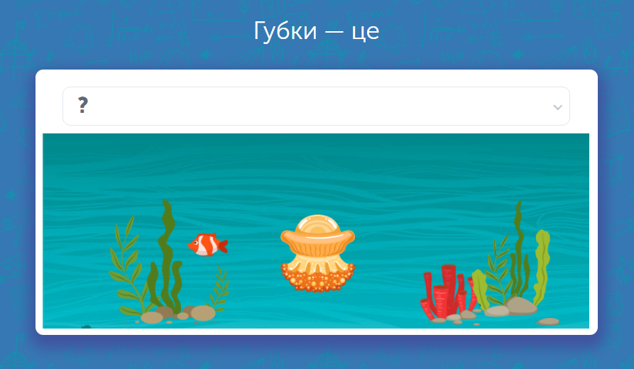- Губки