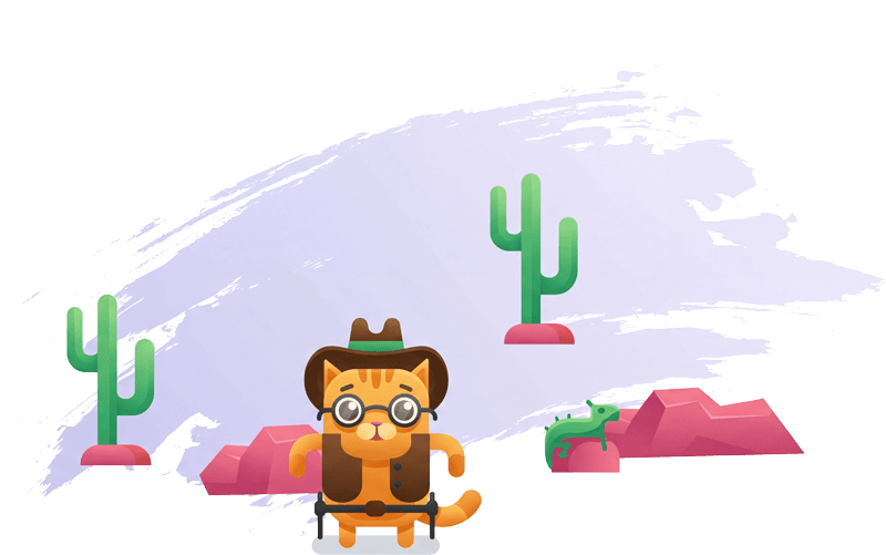 Котик-ковбой у пустельному пейзажі з кактусами та скелями